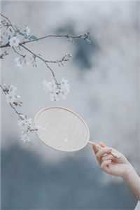 宋应星宋雪见的小说情不知何所终