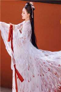 杨梦悦韩夜贺的小说和老婆一起重生后，她转头选了首富初恋