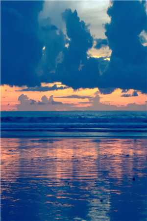 曾以过客之名小说司毅许清岚完结版