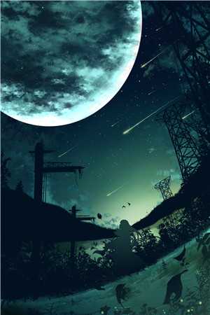 老婆出轨后我拒绝成为血包完结版小说林枫安晴