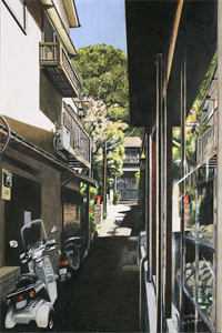 岁岁无虞，长安常安完结版小说元沈