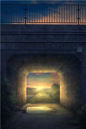 江月不知流年浅谢流年姜浅月全章节小说