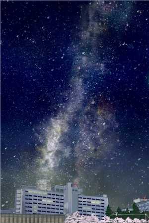 愿君一世安梁辰赵飞莹全章节小说