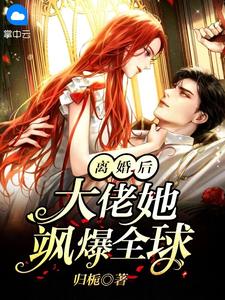 离婚局，真爱成迷途全文苏婉婉萧云帆