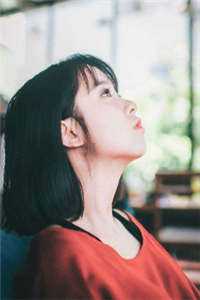 女友逃婚后，我成了顶尖豪门顾舟舟沈南青