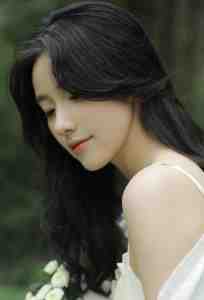 官途风云小说李福海宋观潮完结版