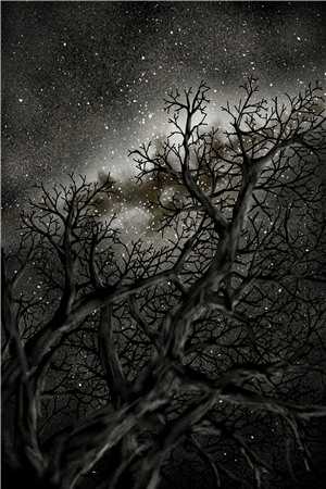 白凝冰梅纪伯的小说末世来临，重生的老婆将情人带回了家