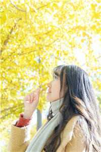 靖司辰柳芙的小说被嫡姐换亲后，清冷权臣宠上天