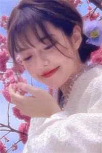 顾安南江意的小说不辞青山但辞君