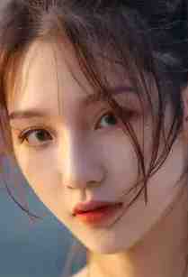 傅文川江淑仪的小说何以情深几许