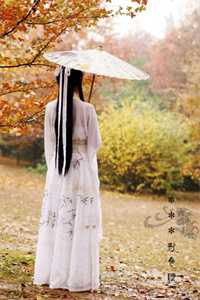 灿烂不过世间花小说全文免费阅读沈绾绾司向晨