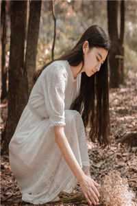 月光不照北小说全文免费阅读林画裴照北