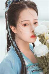 村官桃花途小说全文免费阅读柳如烟陈平安