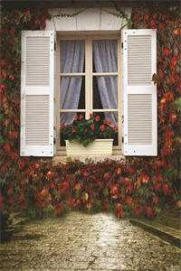 城南小陌又逢春热门小说苏洛程佳渔