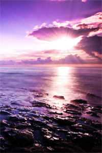 梦醒已逝，爱不逢时赵鹤之向沁雪全章节小说