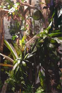 爱恨终逝完结版杜若宋景川