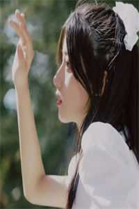 温南枝沈清宴的小说烟火照夜白免费阅读