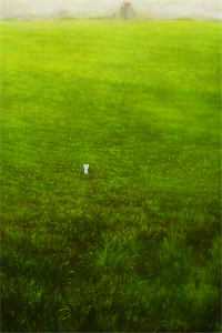 无奈情丝绕(浅汐宁渊)