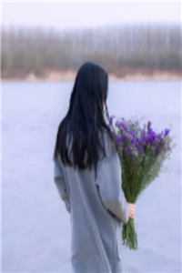 此去经年不相逢完结版小说全章节目录阅读