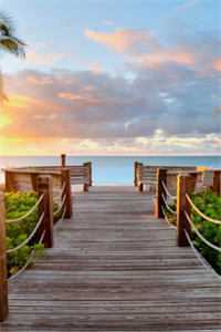 风月伴朝暮西沉完结版小说全章节目录阅读