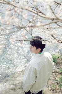 且停且忘且随风by简南乔傅斯煜