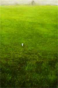 乔软傅寒沉九零大院娇妻小说全文免费阅读