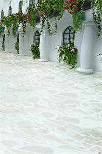 南山有艳阳，坠在北海碑梁玥程苒小说完结版