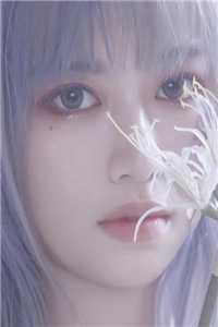 秦天许夜的小说许我冷夜