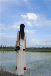 顾宛瑜顾慕林的小说妈妈命丧火海，哥哥却在陪贫困生看太阳雨