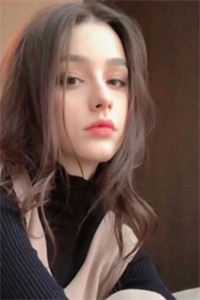 叶晚宁沈墨寒追风赶月莫停留小说