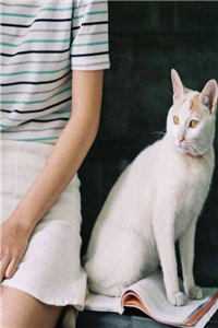 海棠仍俏倚朱栏沈长清傅逸辰小说