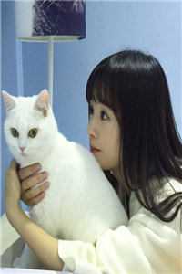 女儿被绑架撕票，妻子说要庆祝张至白月光小说