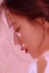 哥哥和未婚夫为救恶蠢白月光逼我跟狗换命，重生后我杀疯了全文泰迪白月光