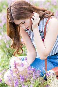 恶犬自有恶人磨全文吴若雪林潇