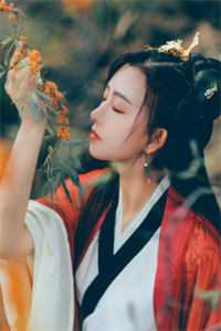 官途风云全文李福海宋观潮