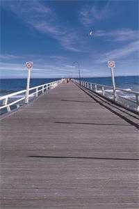 淼淼淼淼写的小说双十一，我收到了个骨灰盒全文阅读