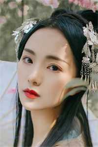 又是棠辞枝雪时(傅淮安宋棠)