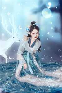 洛音书陆清舟写的小说人生不相见，动如参与商全文阅读