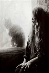 刘承安乔明月的小说一帘风月痴人梦，前尘往事尽散去免费阅读