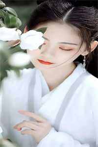 云本无心风起意林妍傅璟小说