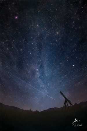 她若星辰不相逢余青婉郑修瑾小说完结版