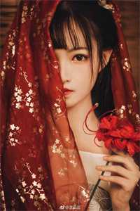 送往神族和亲后,皇姐她后悔了司渊青鸾小说完结版