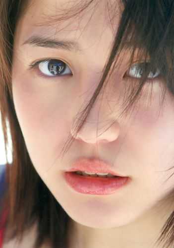 惊鸿照影燕归来奚言江辞尘小说完结版