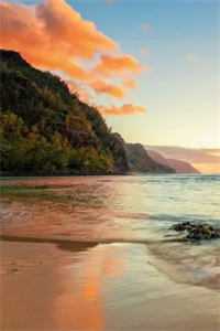 祁知意祁宴临的小说深海玫瑰终将凋零