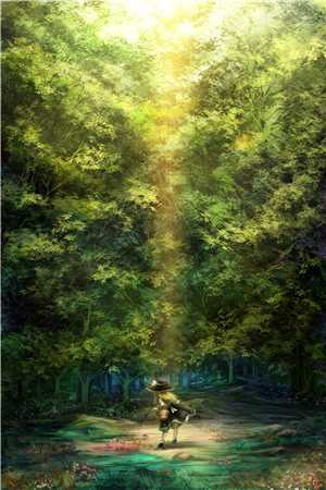 赵阳秦雨柔官婿凶猛小说