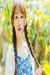 张易安柳絮儿感君一回顾，思君朝与暮小说