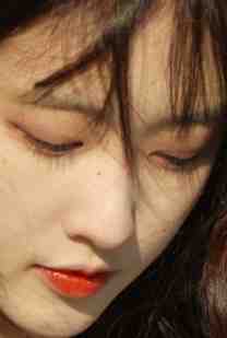 陆临宋知恩的小说梦里看花皆成空