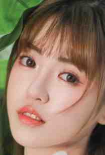 水自无情舟渡人完结版小说季铭穆婉