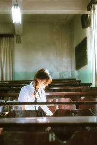 曾与你雪中同白头完结版小说洛芳菲沈以燃