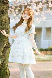 宋颜泽江晚吟的小说雾隐繁花情已逝